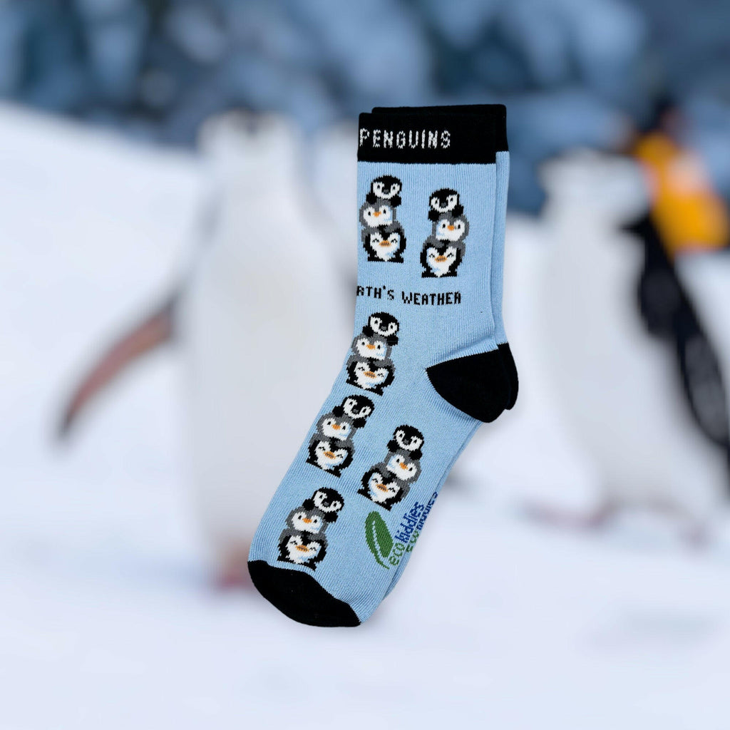 Friendly Penguins | Organic Cotton Kids Socks