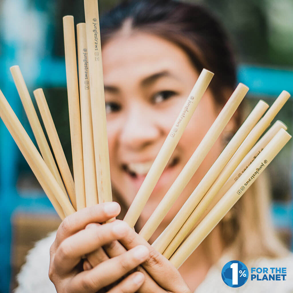 Reusable Bamboo Drinking Straws | Set of 12 + Carry Case