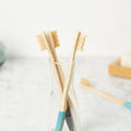 Natural Bamboo Toothbrushes (Set of 4)