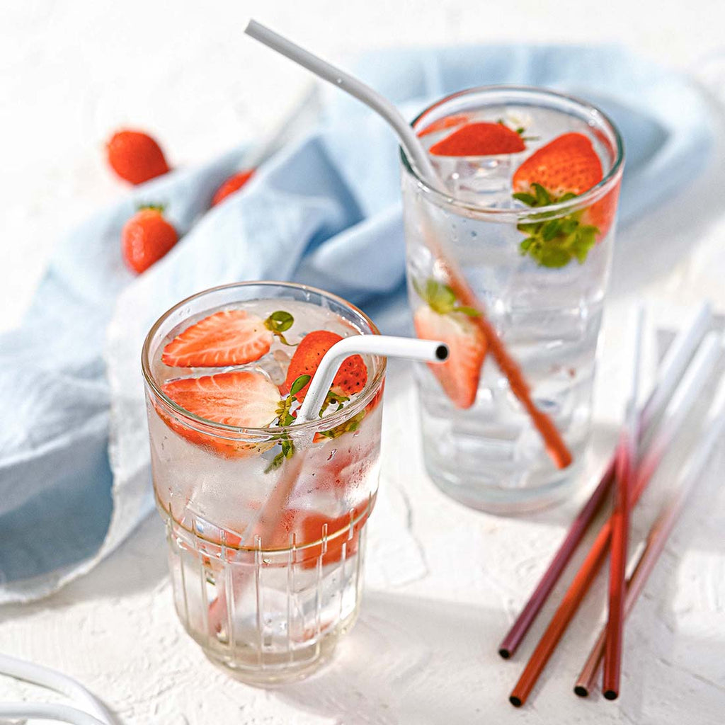 Stainless Steel Reusable Straw Set | Ocean Inspired | Pack of 8 | Jungle Culture