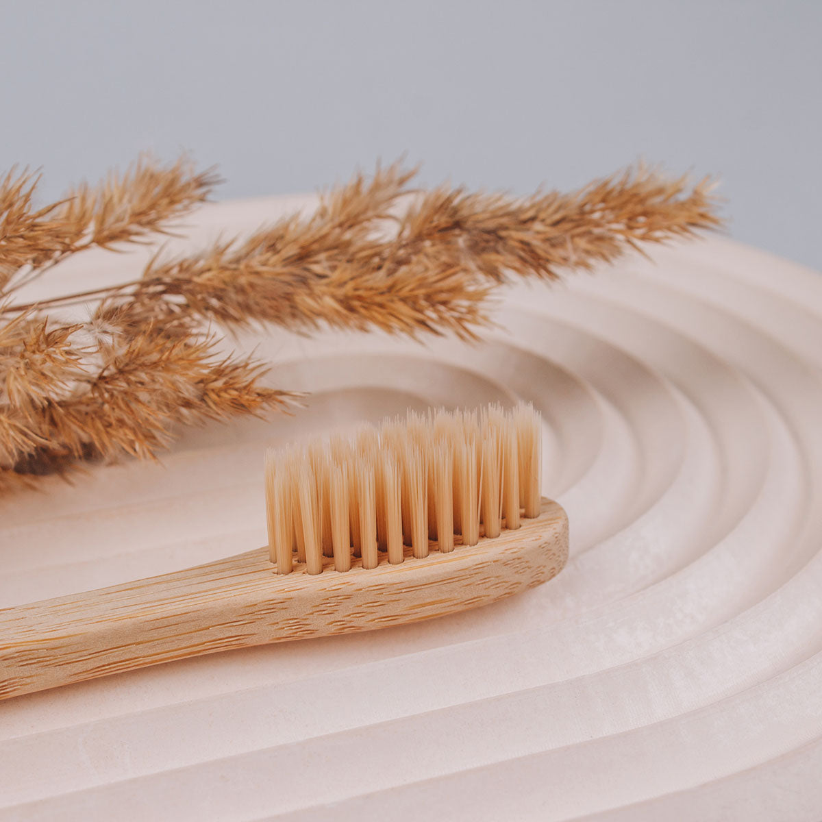 Natural Bamboo Toothbrushes (Set of 4)