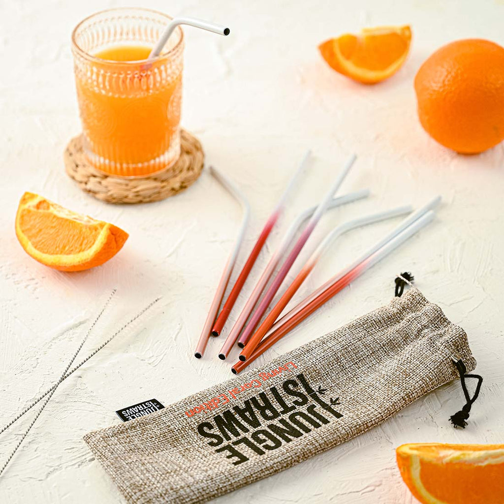 Stainless Steel Reusable Straw Set | Ocean Inspired | Pack of 8 | Jungle Culture