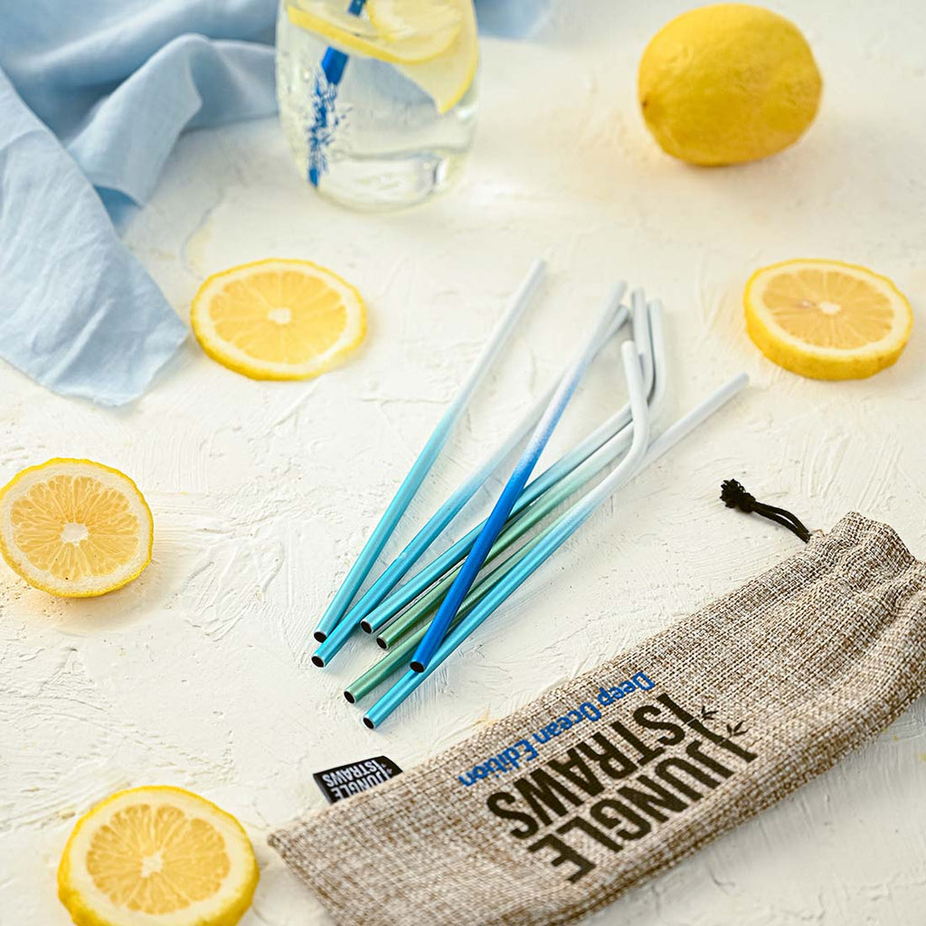 Stainless Steel Reusable Straw Set | Ocean Inspired | Pack of 8 | Jungle Culture