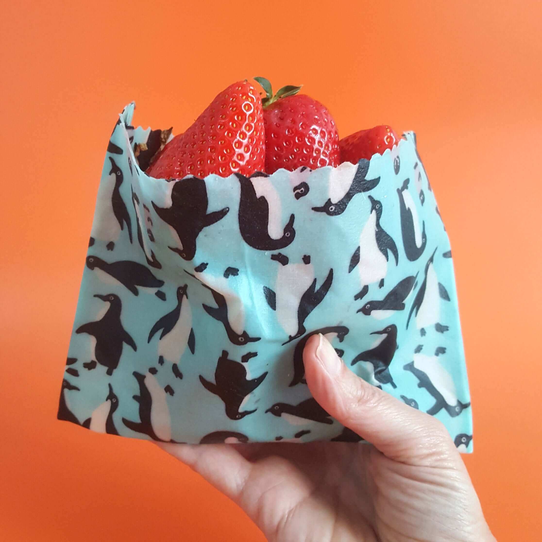 *Set of 3 Handmade Beeswax Wraps | Wings-2