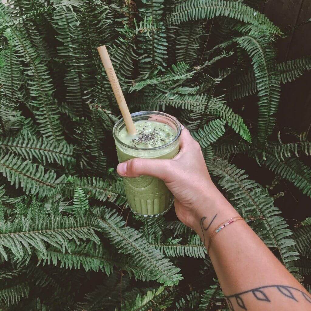 Reusable Bamboo Drinking Straws | Set of 12 + Carry Case