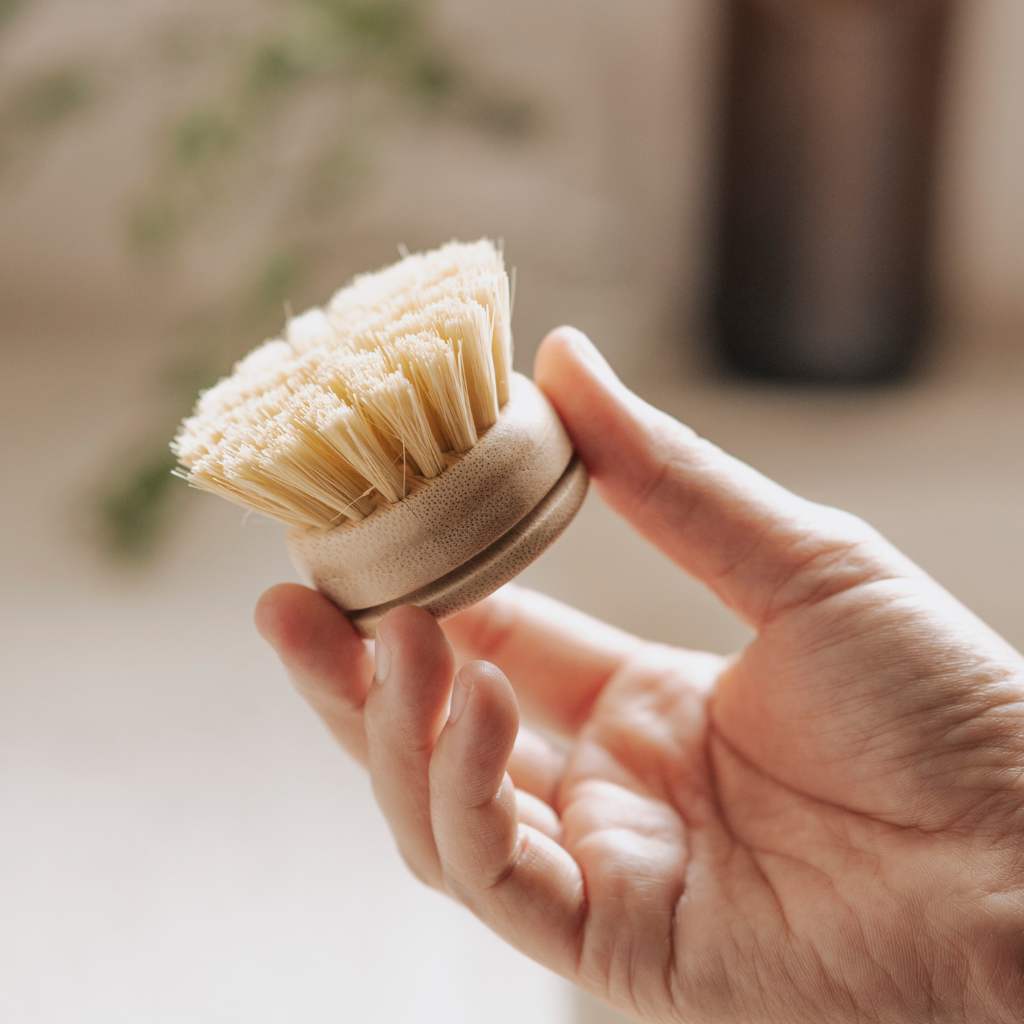 Natural Dish Brush Set | 6-Piece Zero Waste Kitchen Cleaning Set
